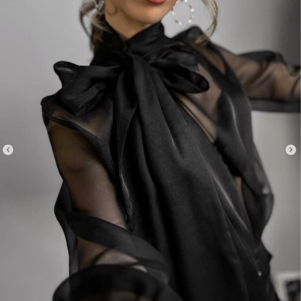 ZARA Elegant Sheer Black Blouse